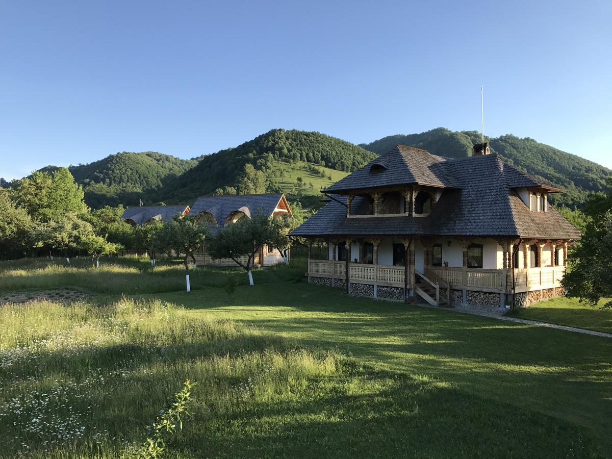 Magnolia Resort Chalets Vişeu de Sus Exteriér fotografie