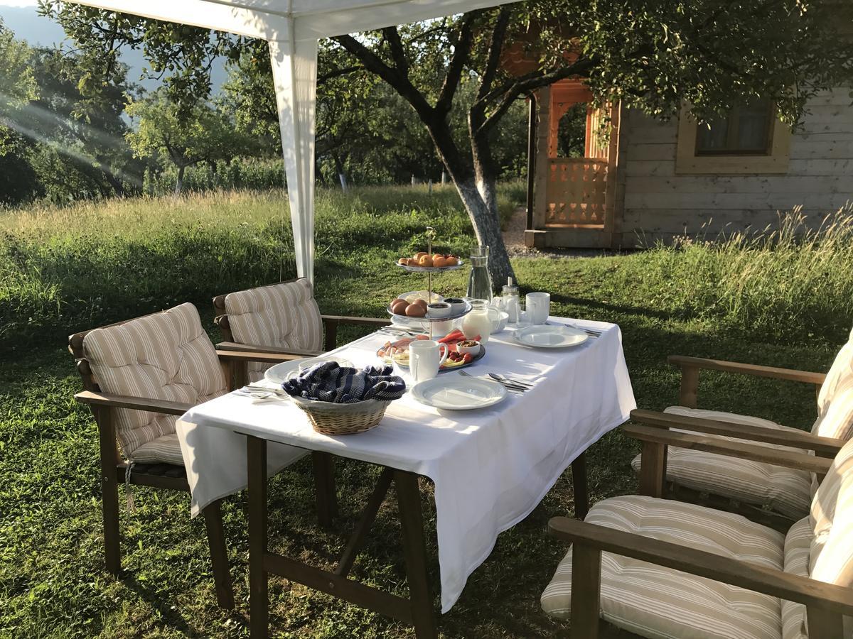 Magnolia Resort Chalets Vişeu de Sus Exteriér fotografie